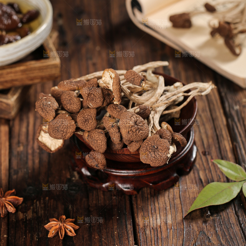茶树菇