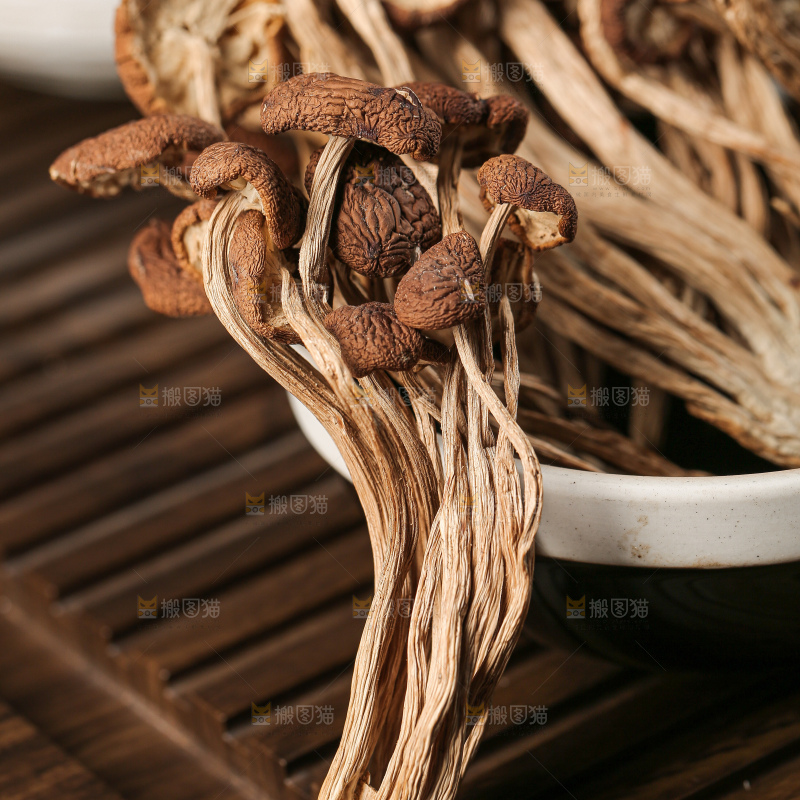 茶树菇