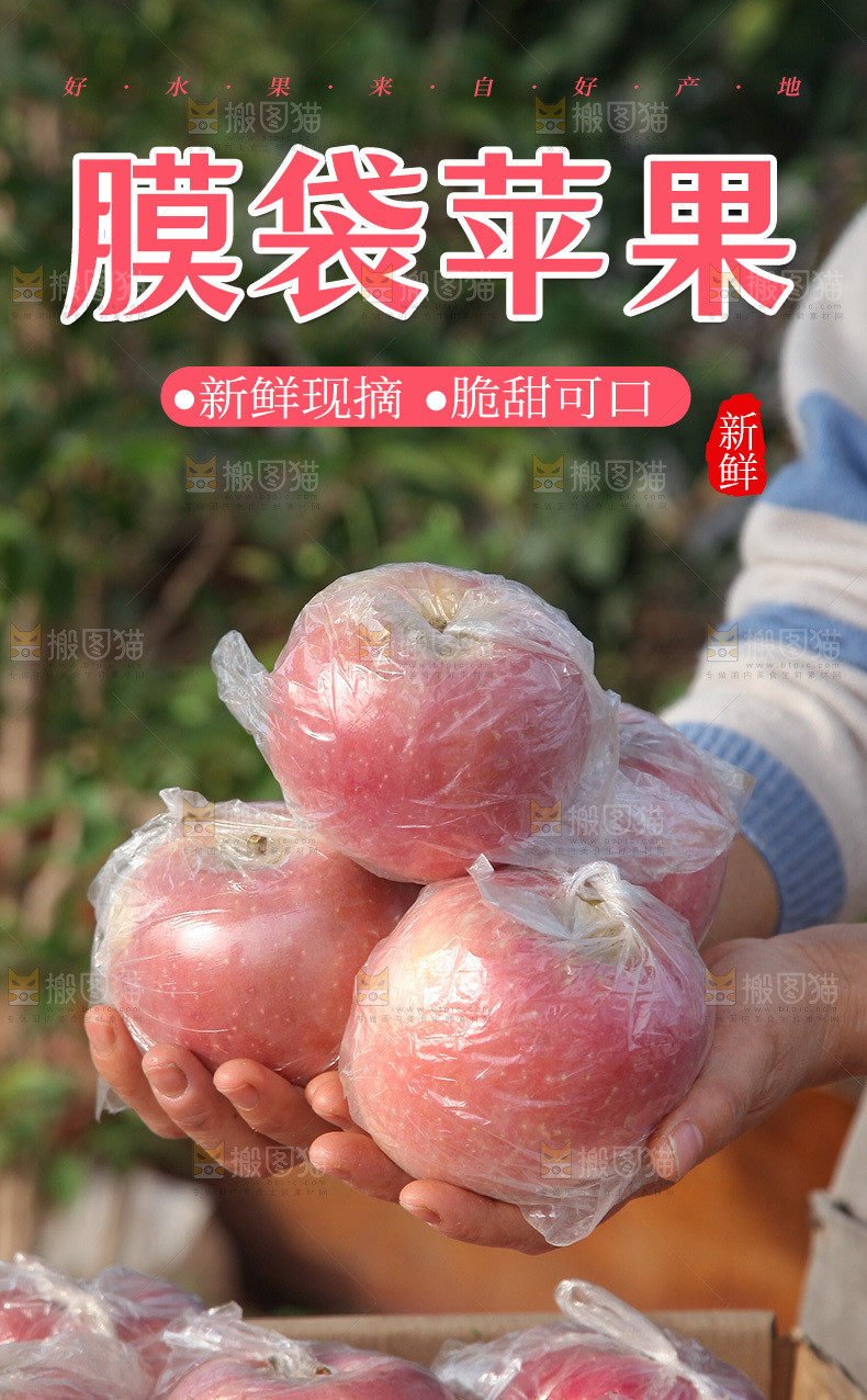 膜袋苹果详情页