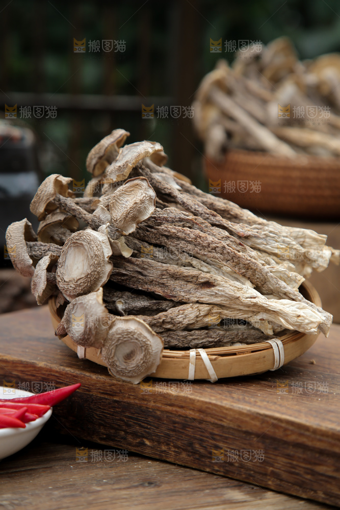 鹿茸菇