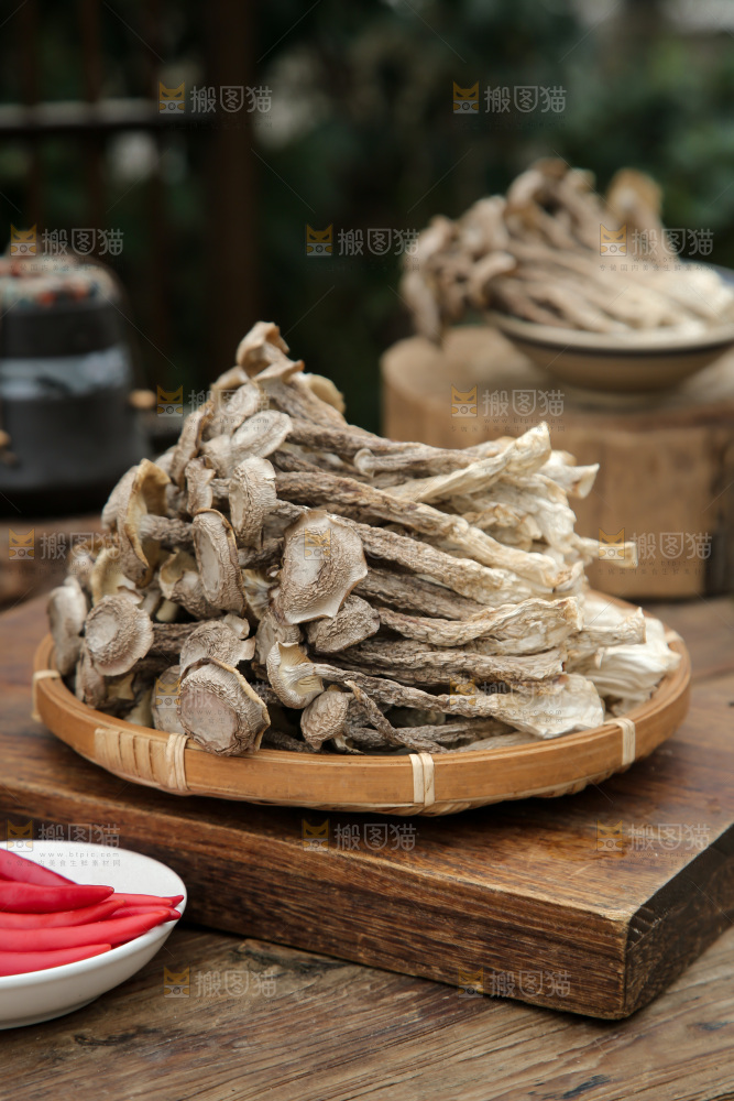 鹿茸菇