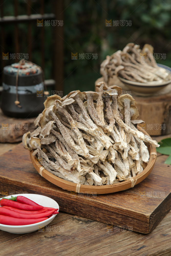 鹿茸菇