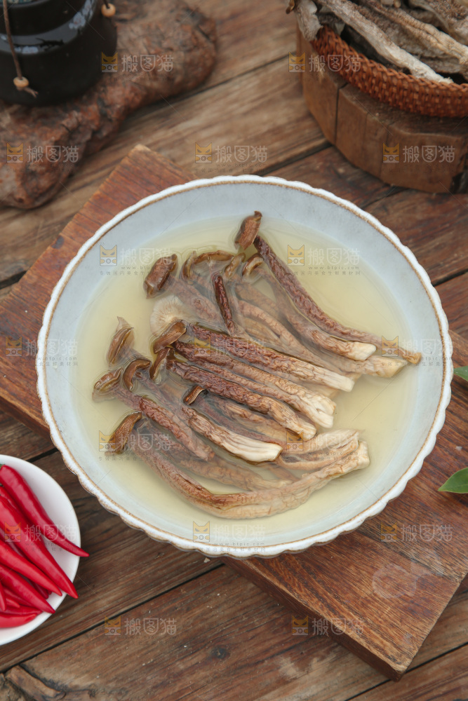 鹿茸菇