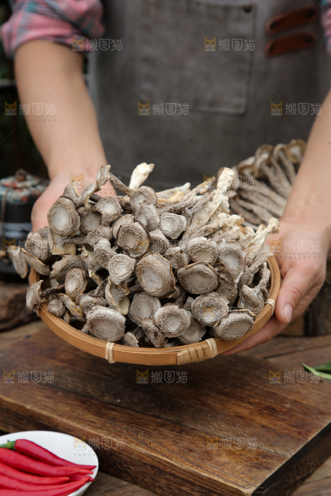 鹿茸菇
