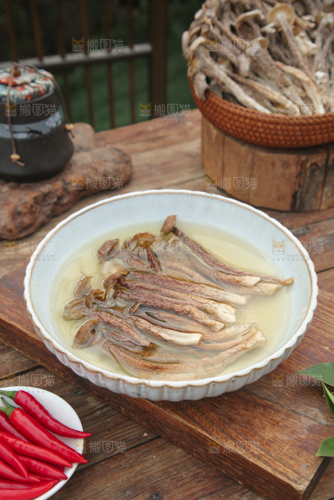 鹿茸菇