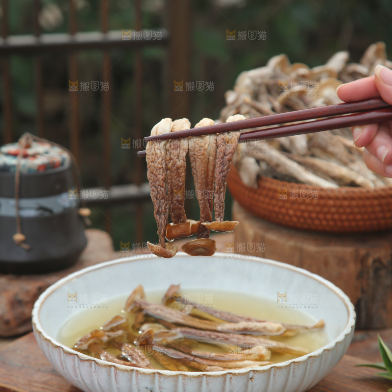 鹿茸菇