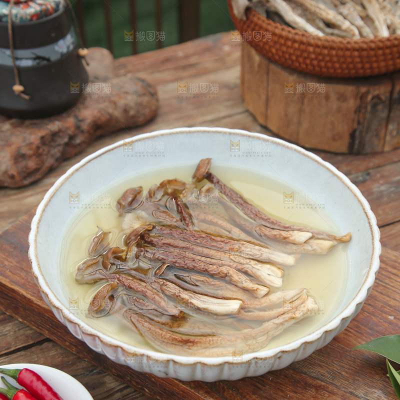 鹿茸菇