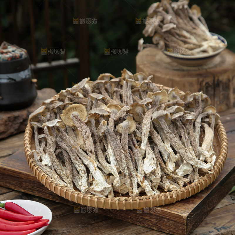 鹿茸菇