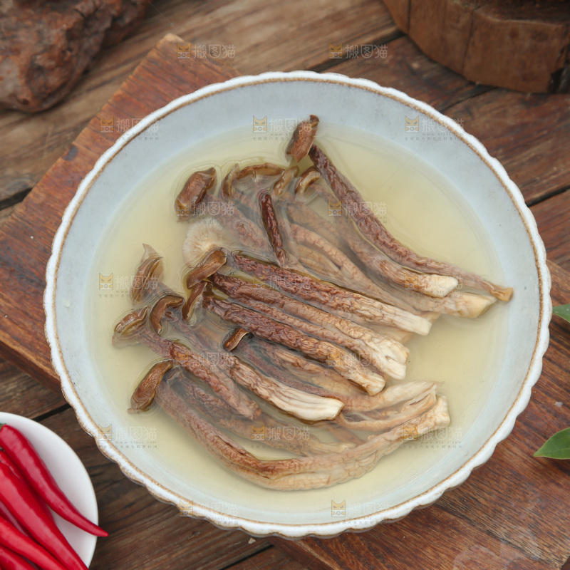 鹿茸菇