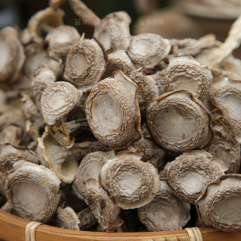 鹿茸菇
