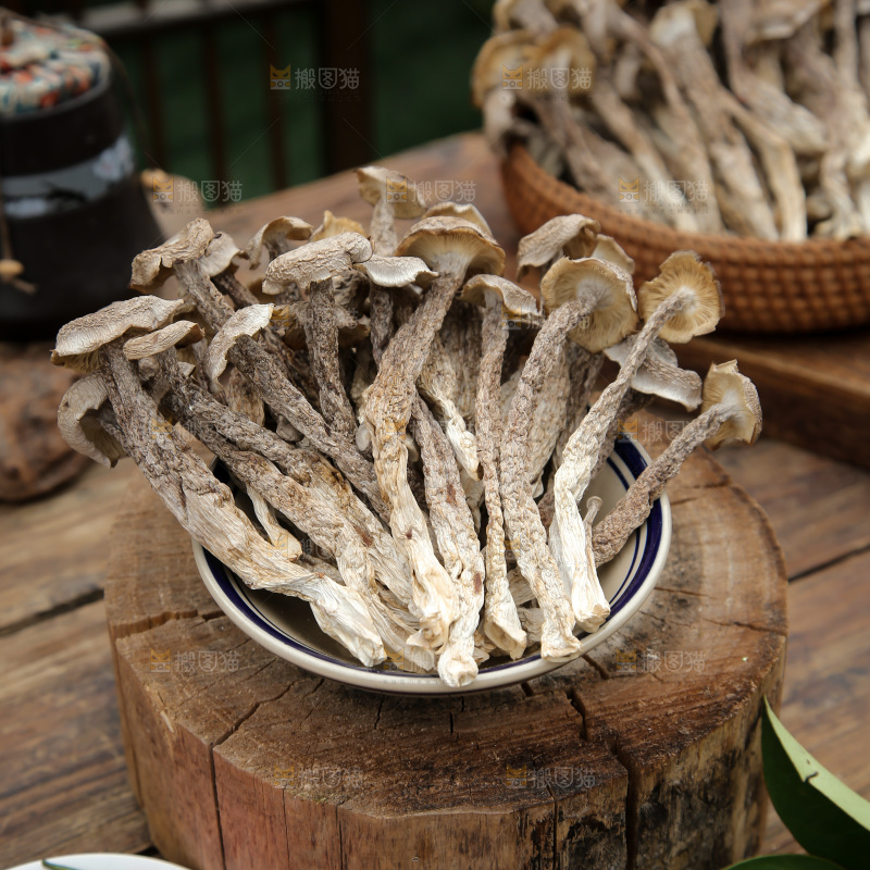 鹿茸菇