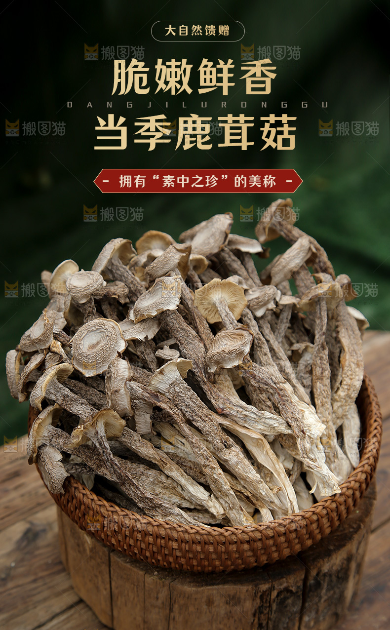 鹿茸菇详情页