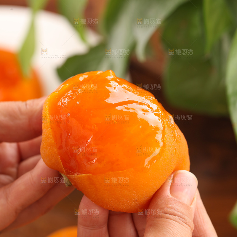 冰柿子