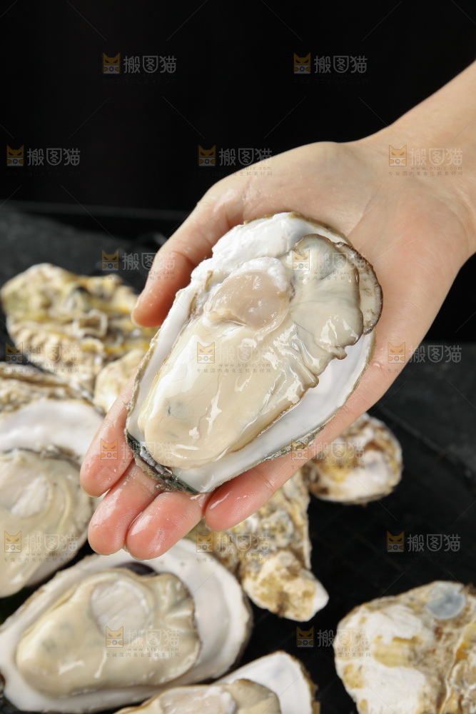 生蚝