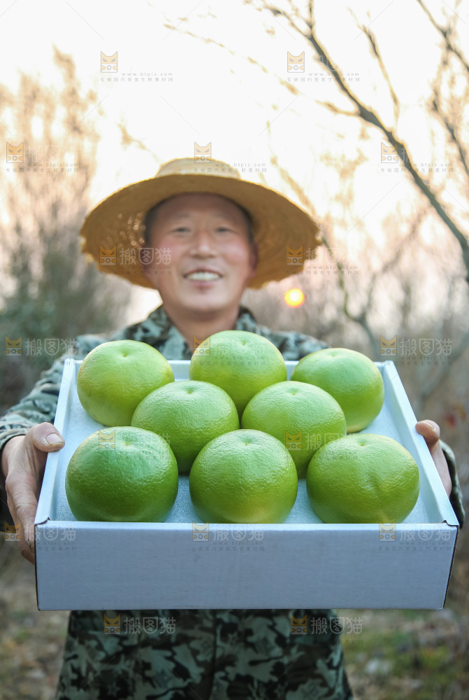 翡翠葡萄柚