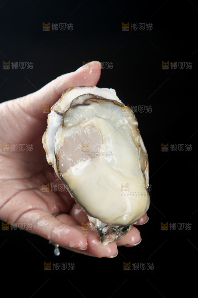 生蚝