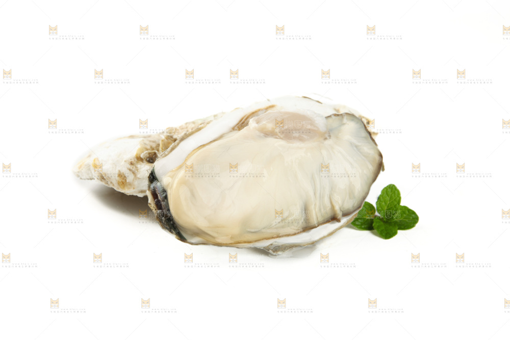 生蚝