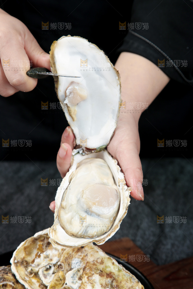 生蚝