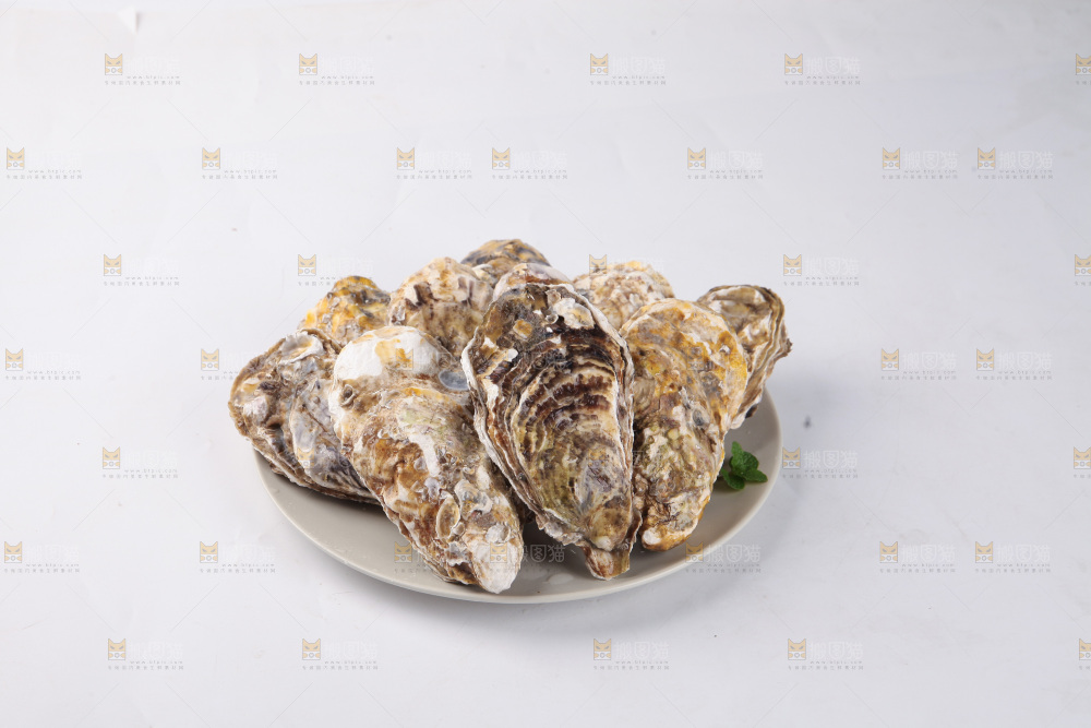 生蚝