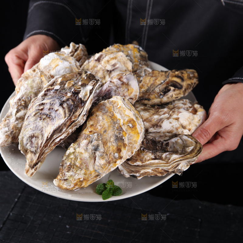 生蚝