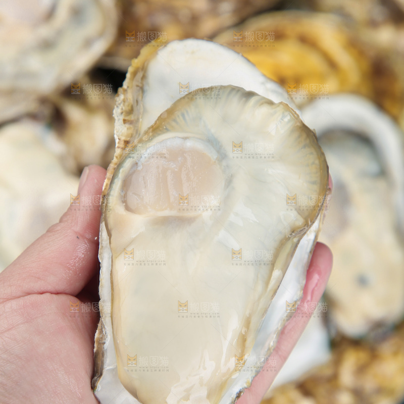 生蚝