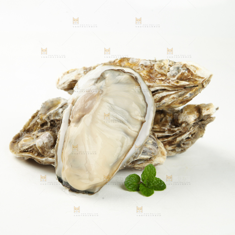 生蚝