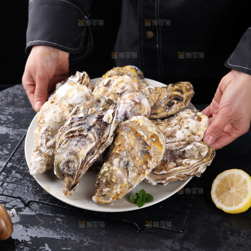 生蚝