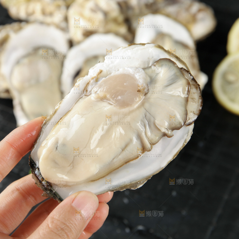 生蚝