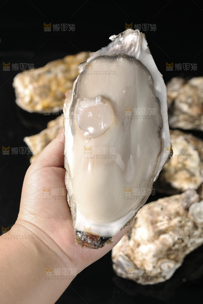生蚝