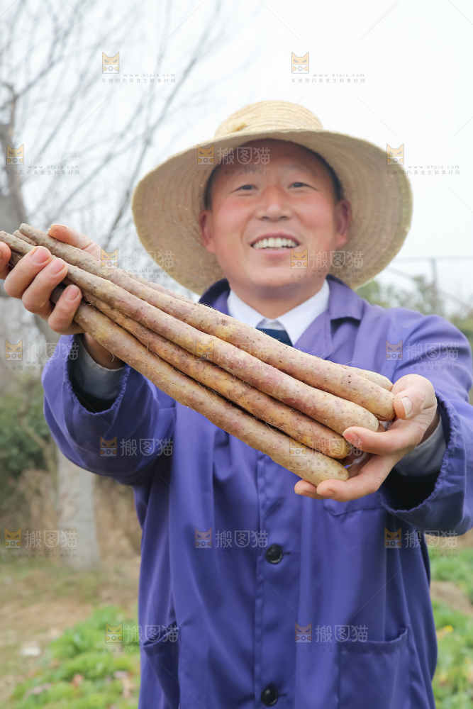 铁棍山药
