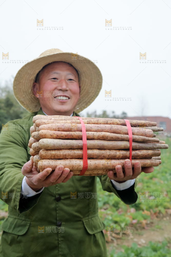铁棍山药