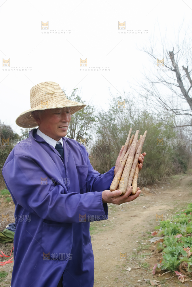 铁棍山药