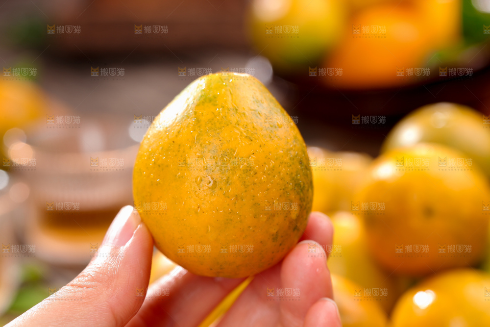 脆蜜金柑