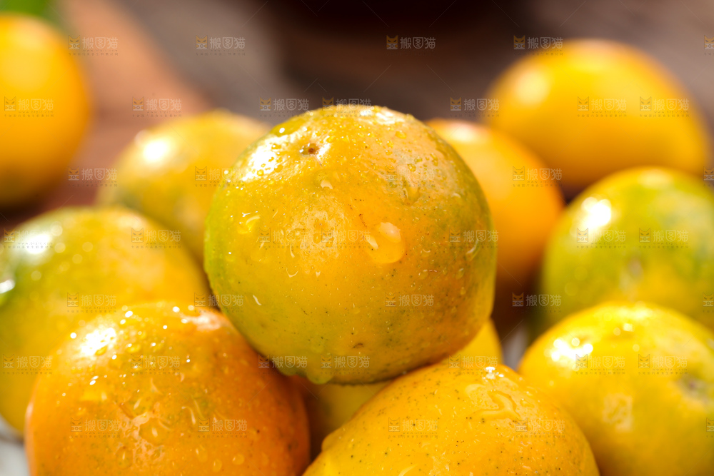 脆蜜金柑