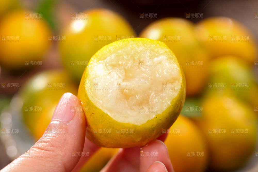 脆蜜金柑