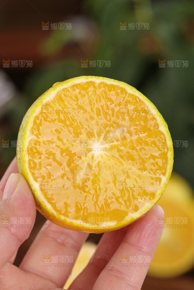 皇帝柑