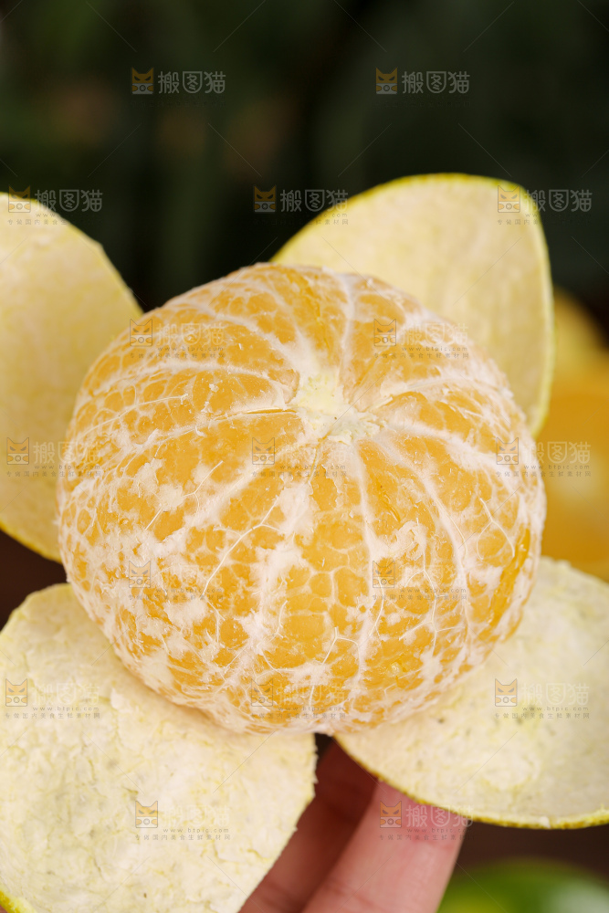 皇帝柑