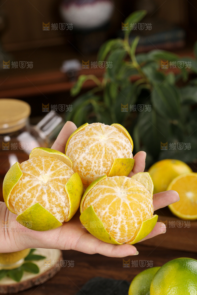 皇帝柑