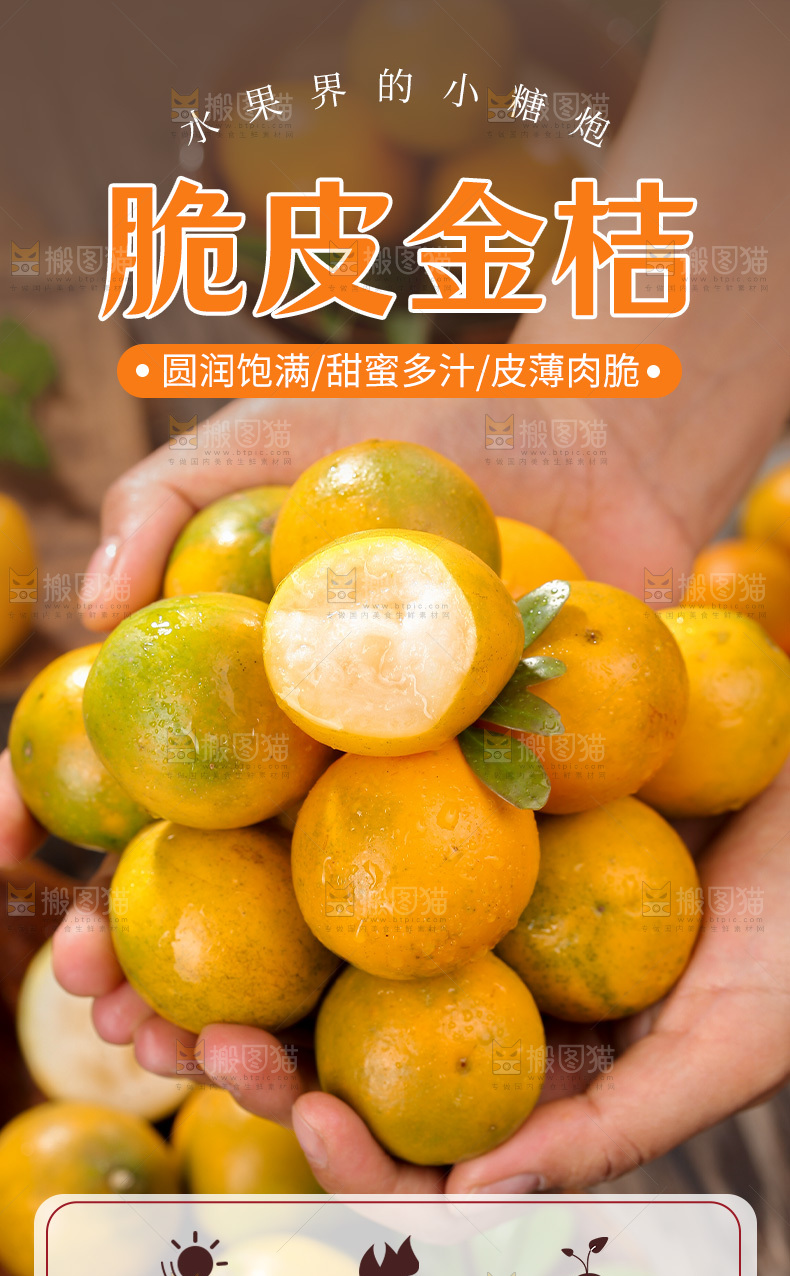 脆蜜金柑详情页