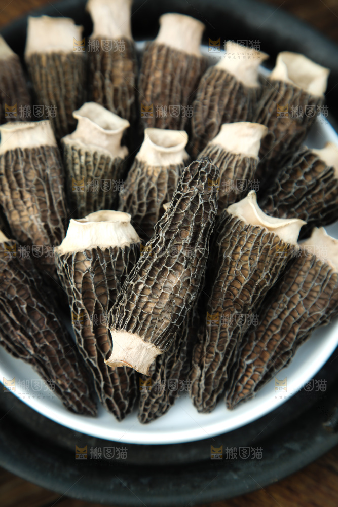 羊肚菌