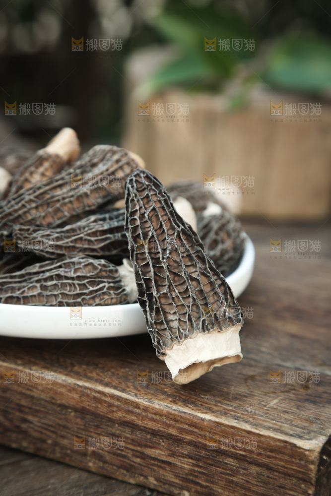 羊肚菌