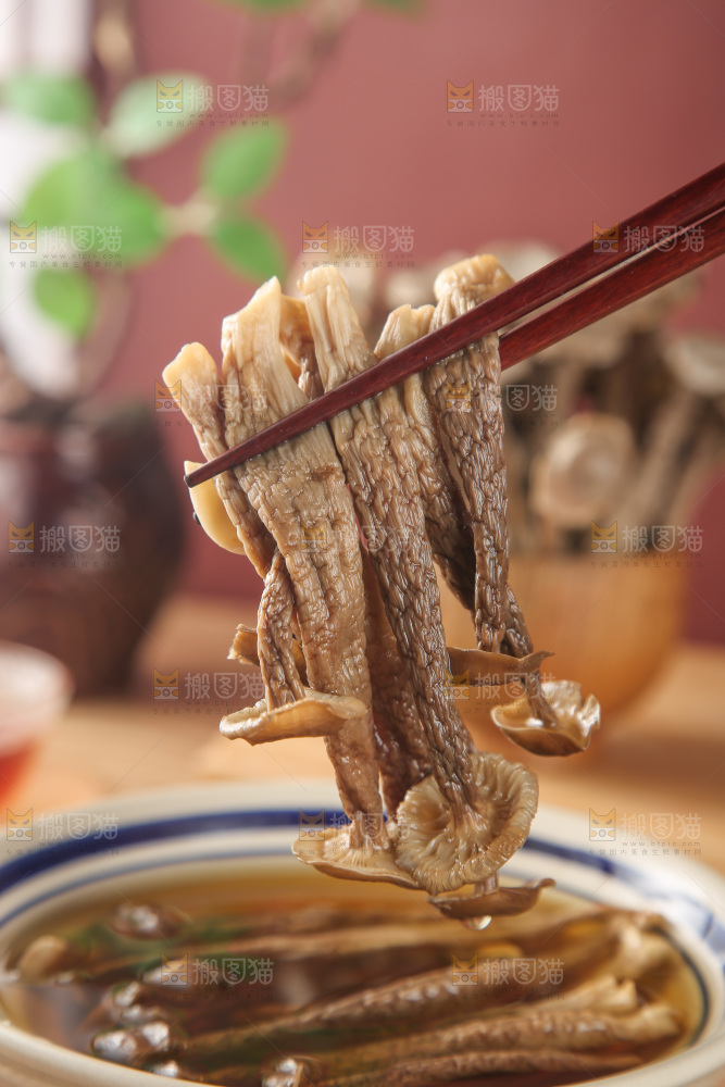 鹿茸菇