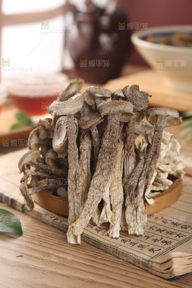 鹿茸菇