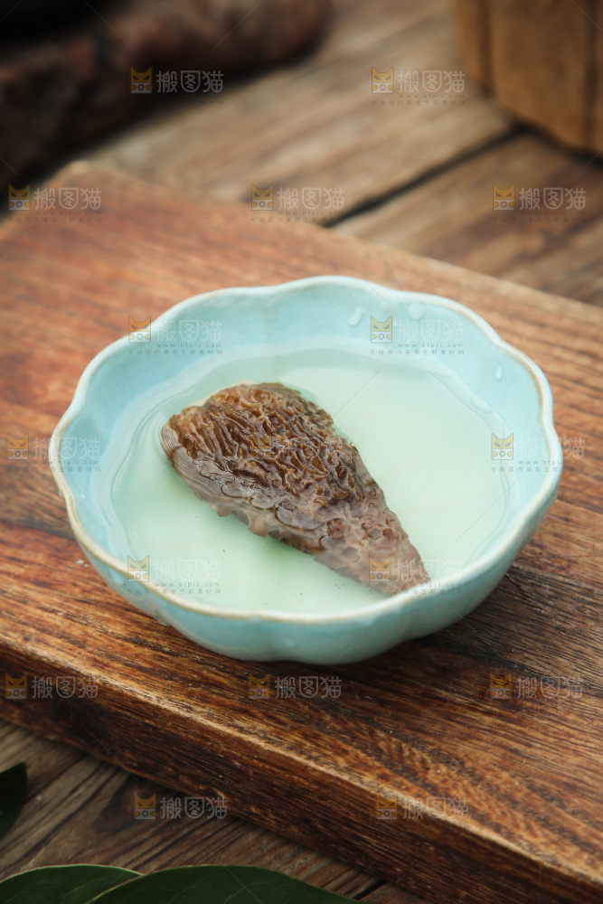 羊肚菌