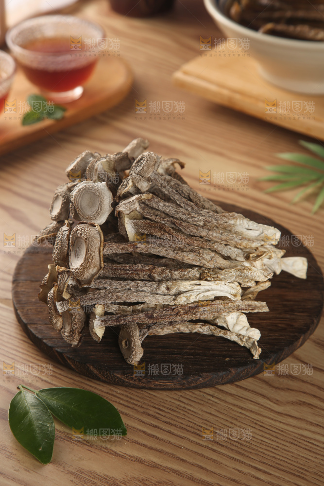 鹿茸菇