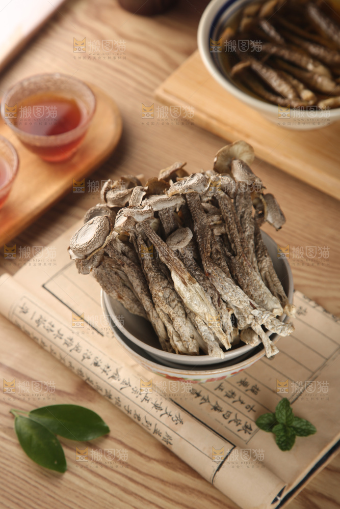 鹿茸菇