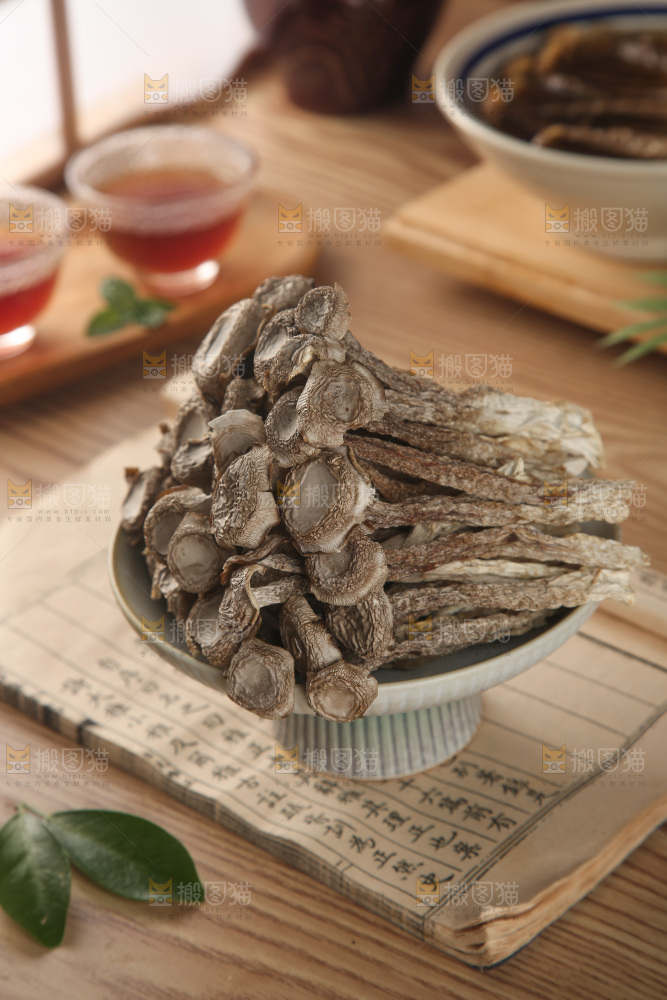 鹿茸菇
