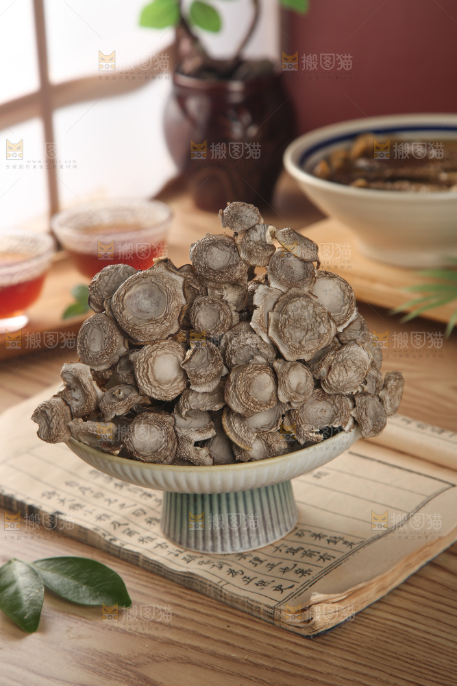 鹿茸菇