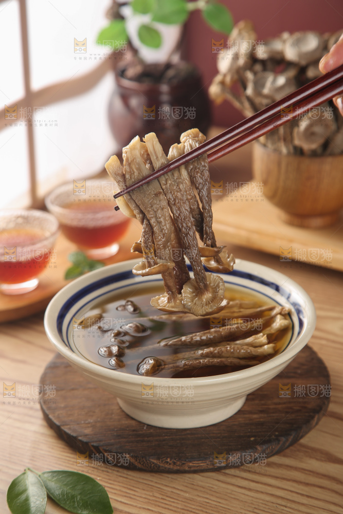 鹿茸菇