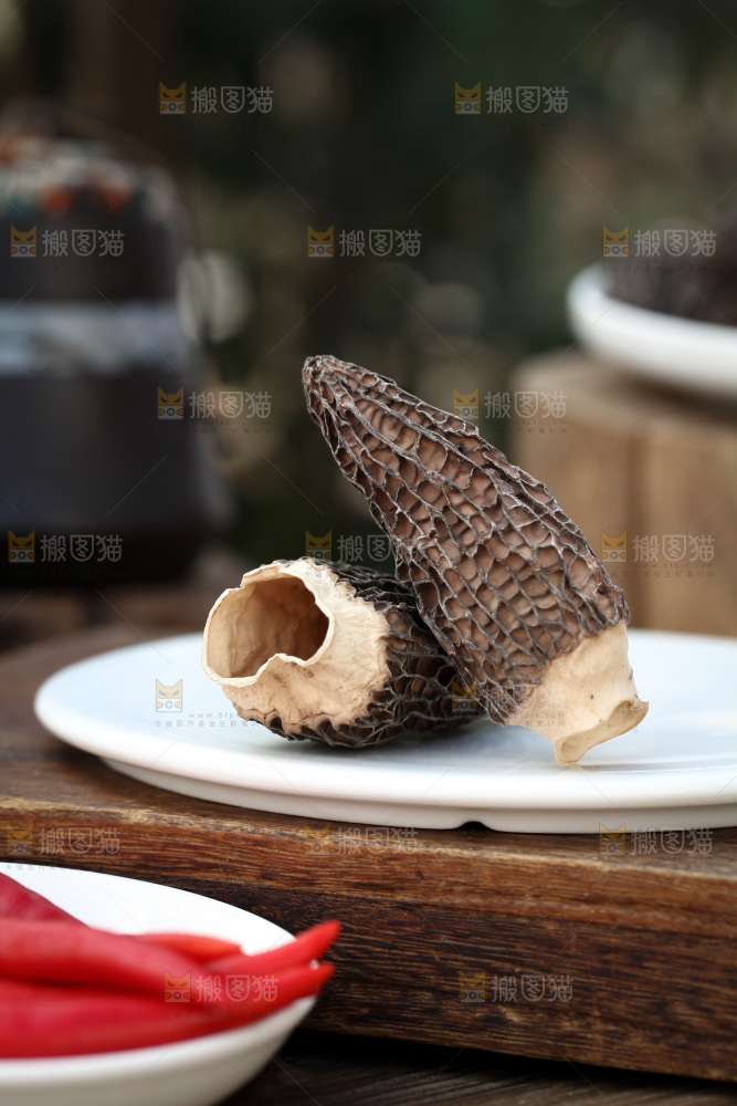 羊肚菌